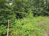Lot 142 Lower Brow Road - Photo 3