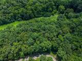 Lot 142 Lower Brow Road - Photo 9