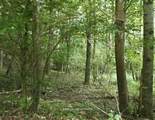 1418-Lot 72 Emerald Pointe Drive - Photo 12