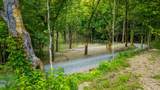 259 County Road 60 - Photo 17