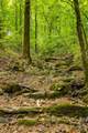 259 County Road 60 - Photo 22