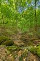 259 County Road 60 - Photo 24
