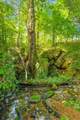259 County Road 60 - Photo 28