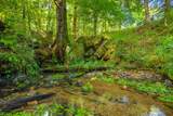 259 County Road 60 - Photo 29
