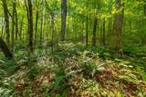 259 County Road 60 - Photo 35
