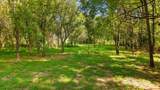 259 County Road 60 - Photo 51