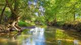 259 County Road 60 - Photo 53