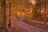 259 County Road 60 - Photo 70