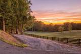259 County Road 60 - Photo 72