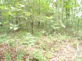 18 Gray Rock View - Photo 7