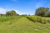 7055 Mooneyham Lonewood Road - Photo 60
