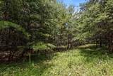 0 Lake George Drive - Photo 10