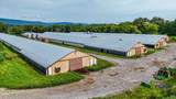 810 Ketner Cove Road - Photo 13