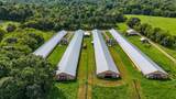 810 Ketner Cove Road - Photo 15