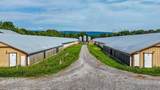 810 Ketner Cove Road - Photo 16