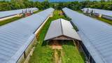810 Ketner Cove Road - Photo 18