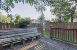 423 Money Tree Lane - Photo 25