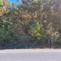 0 Bonny Oaks Drive - Photo 4
