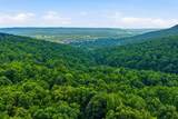 1800 Pittsburg Mountain Road - Photo 40