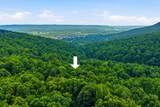 1800 Pittsburg Mountain Road - Photo 46