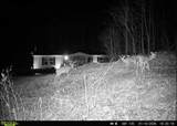 1800 Pittsburg Mountain Road - Photo 49