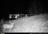 1800 Pittsburg Mountain Road - Photo 50
