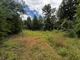 0 Orme Mountain Road - Photo 1