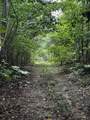 0 Orme Mountain Road - Photo 10