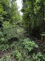 0 Orme Mountain Road - Photo 11