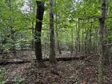 0 Orme Mountain Road - Photo 12