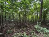 0 Orme Mountain Road - Photo 13