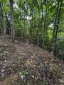 0 Orme Mountain Road - Photo 7
