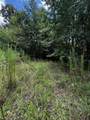 0 Orme Mountain Road - Photo 8