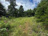 0 Orme Mountain Road - Photo 9