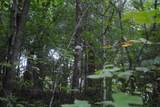 600 Dickerson Drive - Photo 47