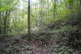 600 Dickerson Drive - Photo 6