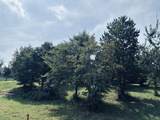 800-Sv-132 Sunset Circle - Photo 18