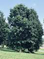 800-Sv-132 Sunset Circle - Photo 7
