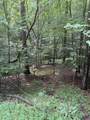 308 Creekside Trail - Photo 3