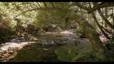 0 Barker Camp Road - Photo 13