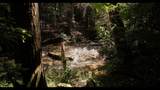0 Barker Camp Road - Photo 7