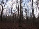 3008 Diego Drive - Photo 5