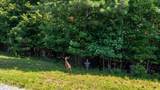 3685-Jf141 Crockett Point - Photo 12