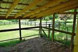 1319 Ideal Valley Road - Photo 15