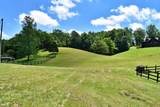 1319 Ideal Valley Road - Photo 24