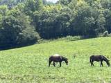 160 County Road 968 - Photo 12