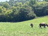 160 County Road 968 - Photo 14