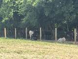 160 County Road 968 - Photo 25
