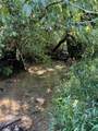 160 County Road 968 - Photo 5