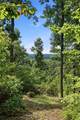 675 Mcdonald Road - Photo 39
